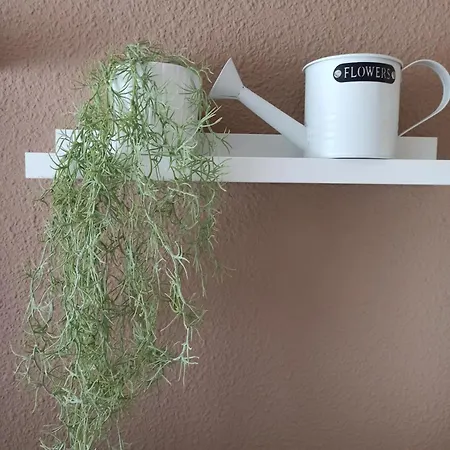 Piso Céntrico Calma Costera Appartamento